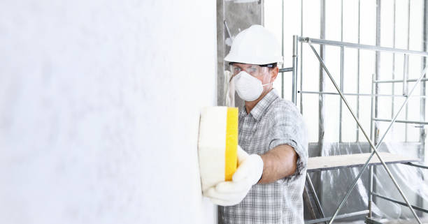 Why You Should Choose Our Mold Remediation Services in Superior, WI